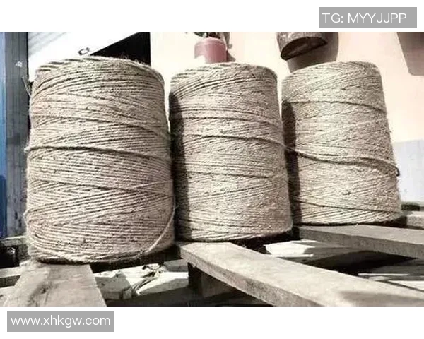 麻绳足球的魅力与挑战探索传统与现代结合的全新运动体验